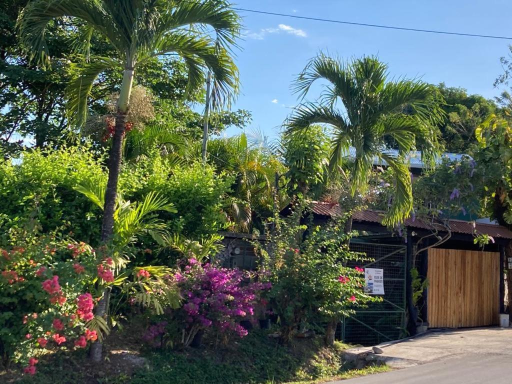 Flor De Paraiso Bungalows Монтесума Экстерьер фото